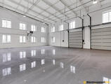 Warehouses to let in Storage facilities in Ostrov