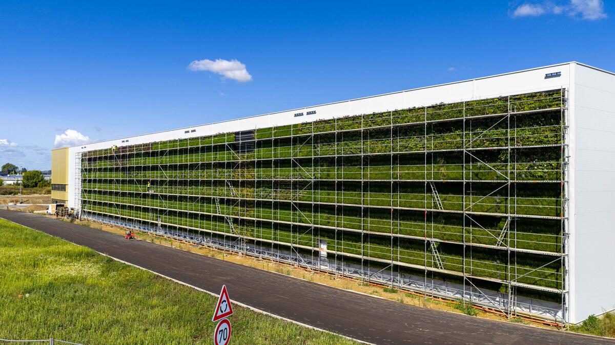 Revolutionizing Industrial Parks: CTP's Green Walls Boost Comfort and Sustainability