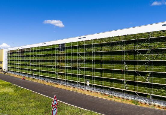 Revolutionizing Industrial Parks: CTP's Green Walls Boost Comfort and Sustainability